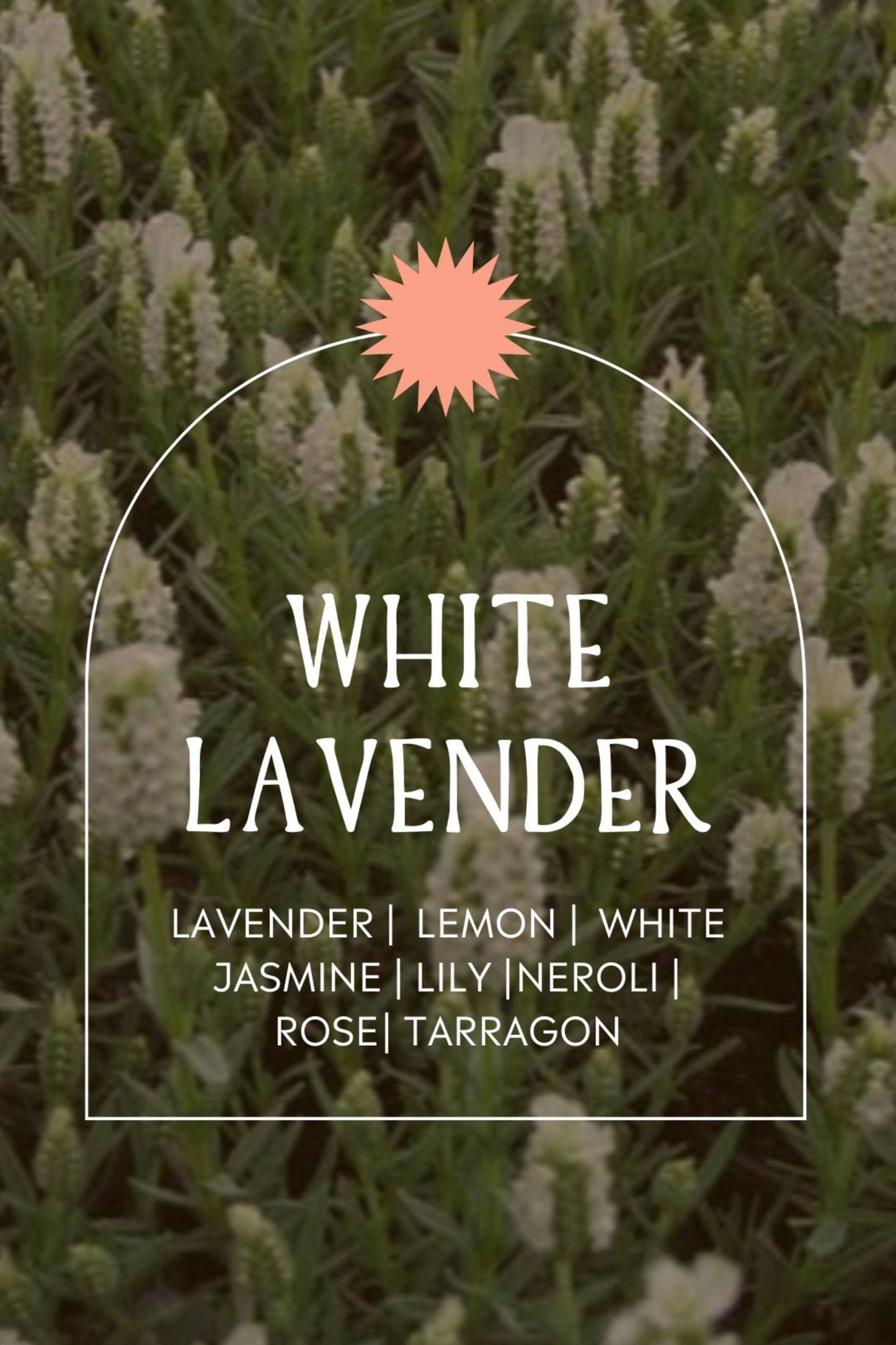 White Lavender Wax Snap Bar