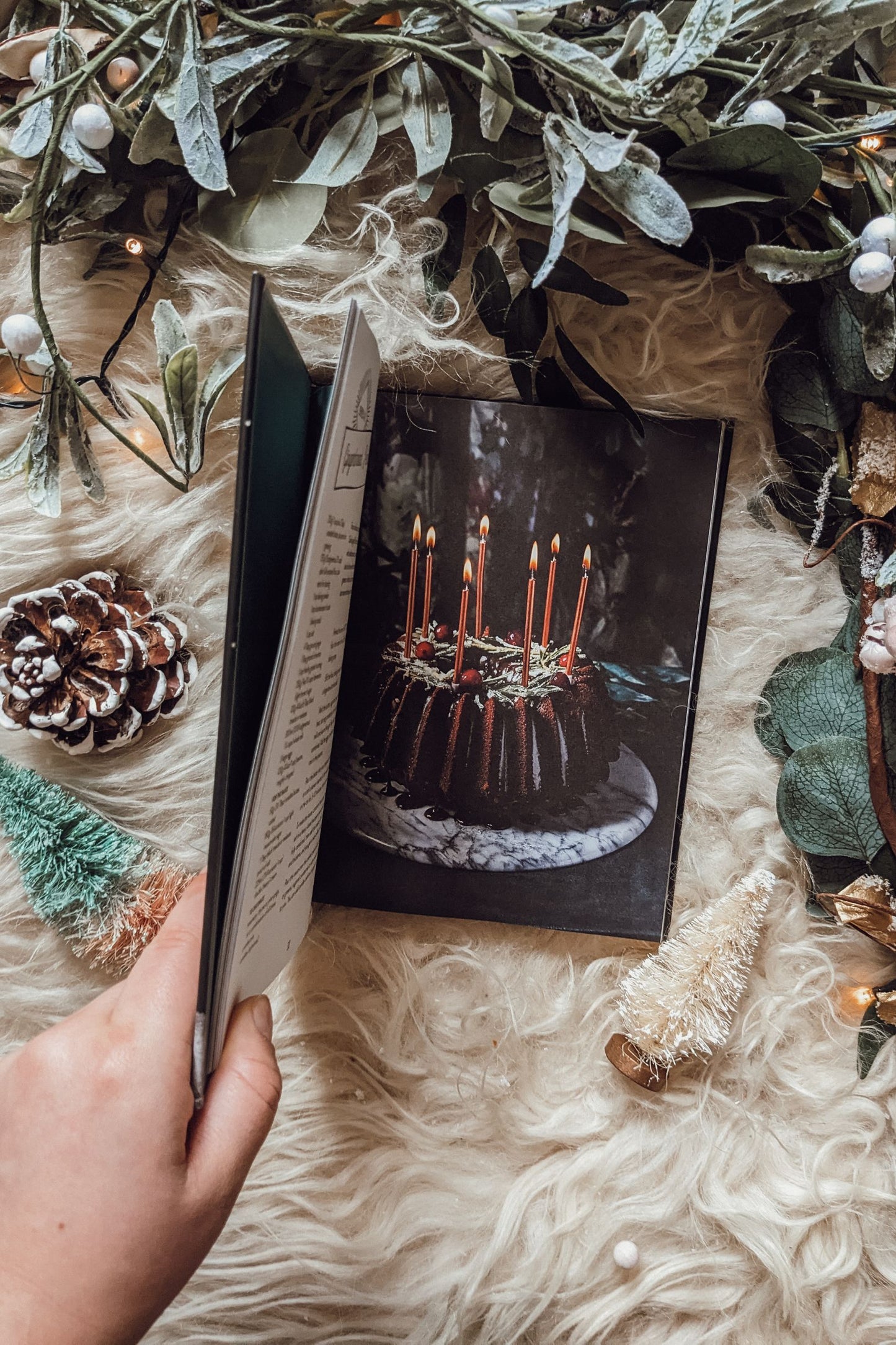The Book Of Gingerbread