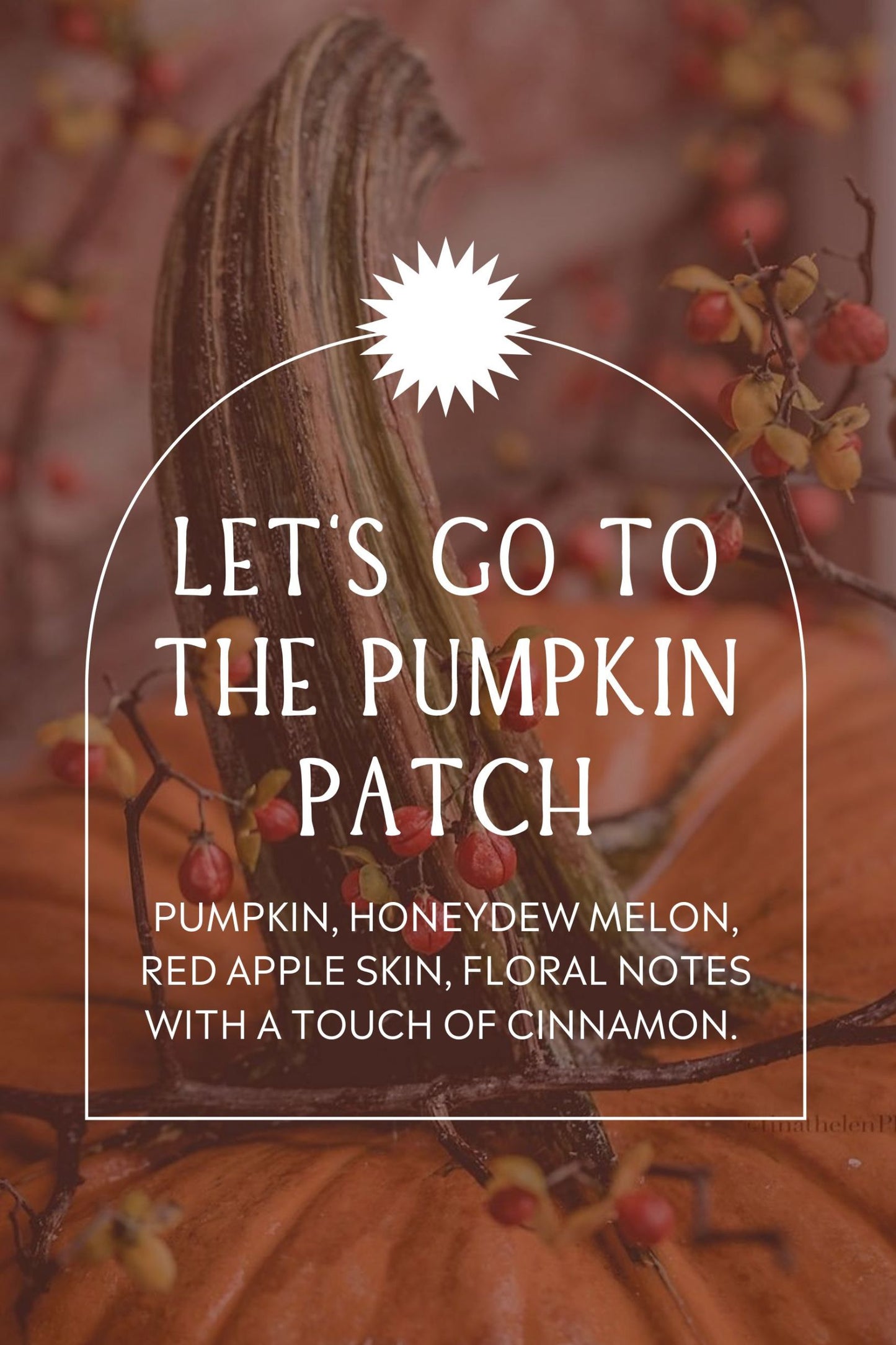 Load image into Gallery viewer, Let&amp;#39;s Go To The Pumpkin Patch Wax Snap Bar
