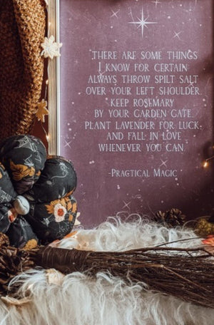Practical Magic Illustrated Art Print